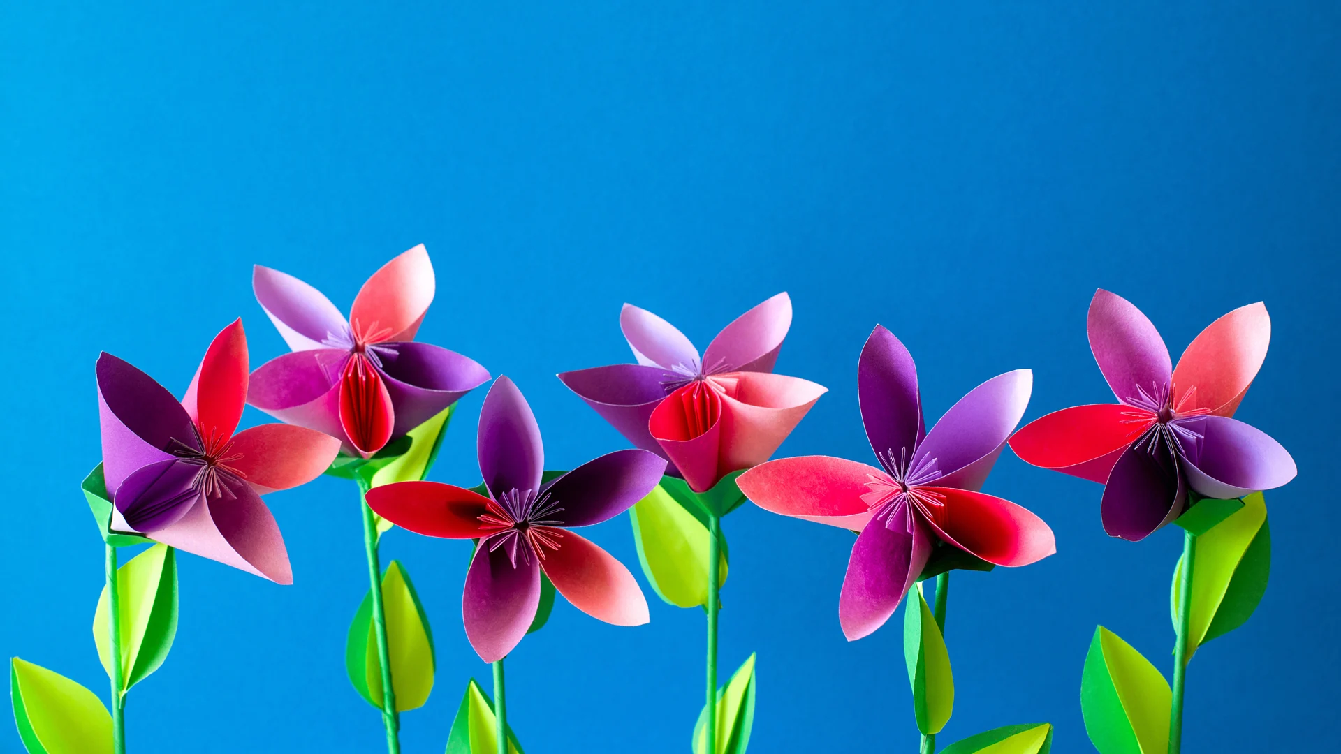 Blumen Header